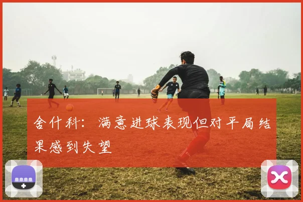 舍什科：满意进球表现但对平局结果感到失望
